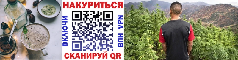 это клад  Светогорск  Cannafood конопля 