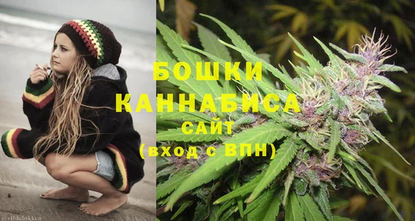 ГАЛЛЮЦИНОГЕННЫЕ ГРИБЫ Балабаново