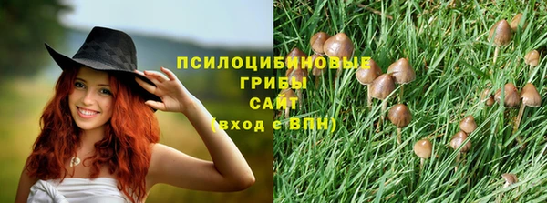 ГАЛЛЮЦИНОГЕННЫЕ ГРИБЫ Балабаново